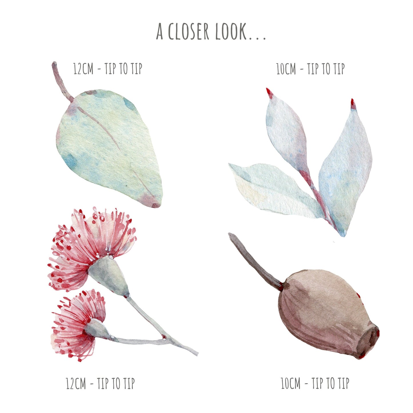 Personalised Custom Name Wall Decal - Koala / Australian gum leaves