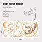 Sleeping Koala Wall Decals | Koala Nursery Decor | Moon & Stars Wall Stickers | Australian Animal Baby Room Decor | Kids Bedroom Wall Art